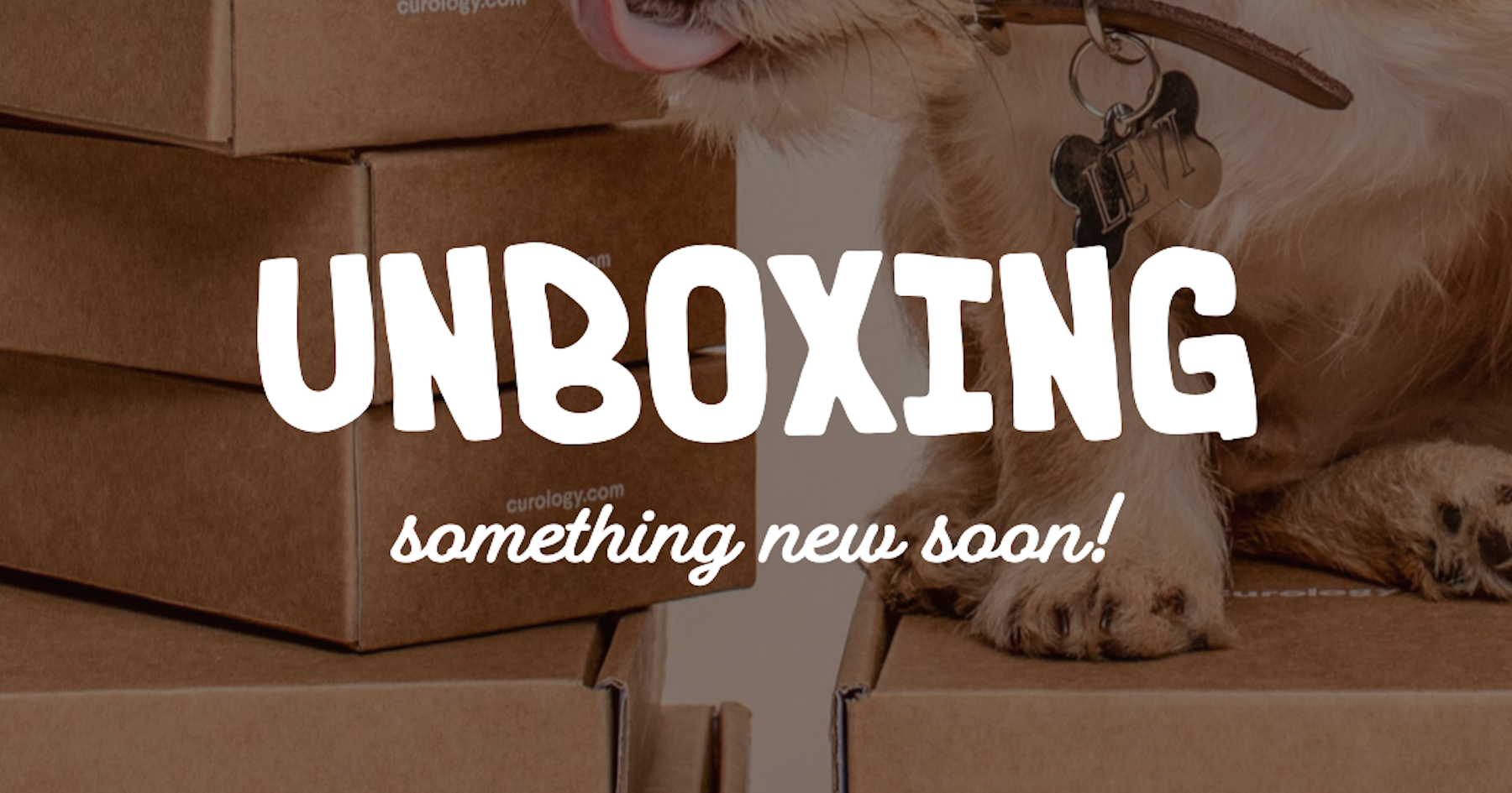 New Site Launching Soon